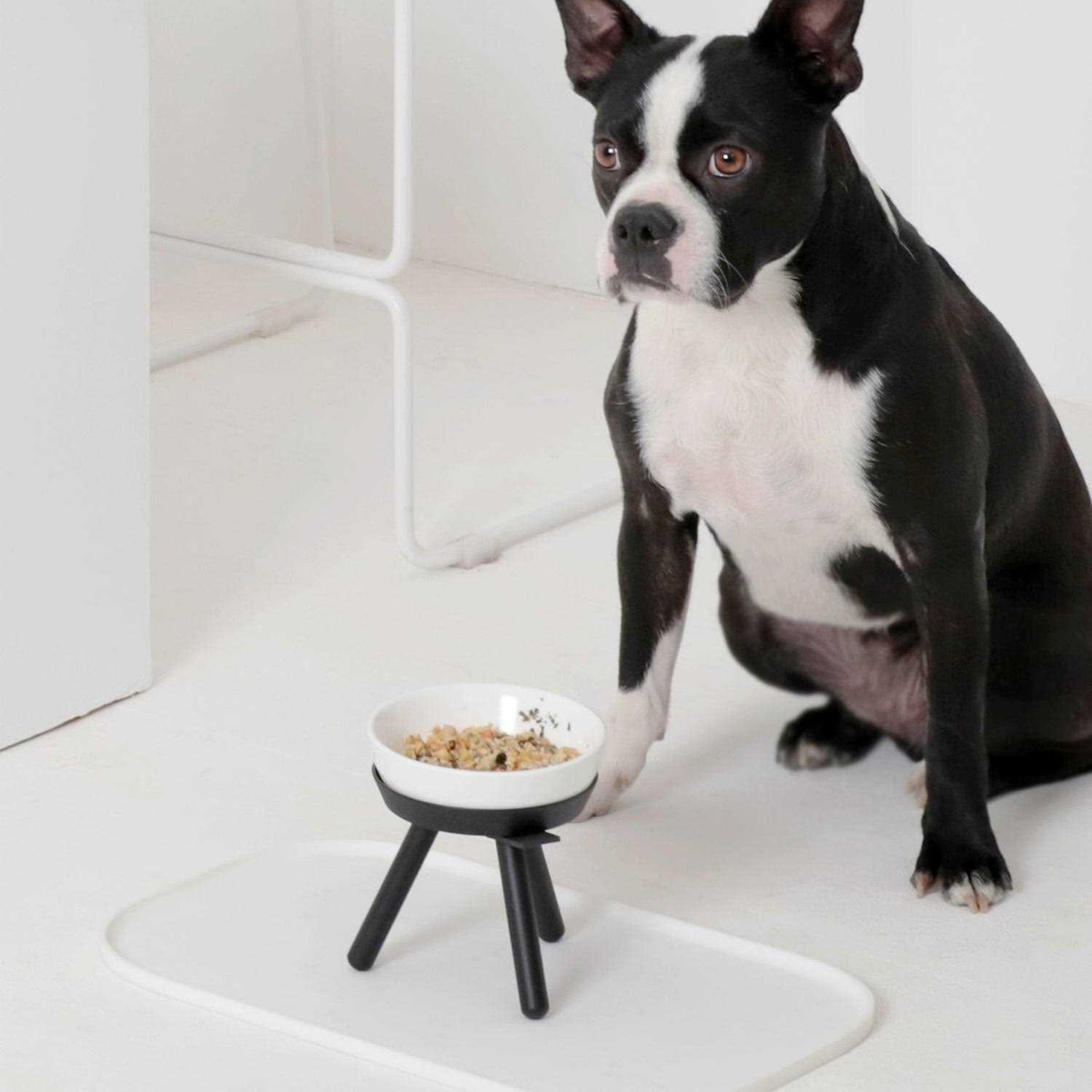 Pet Supplies H491