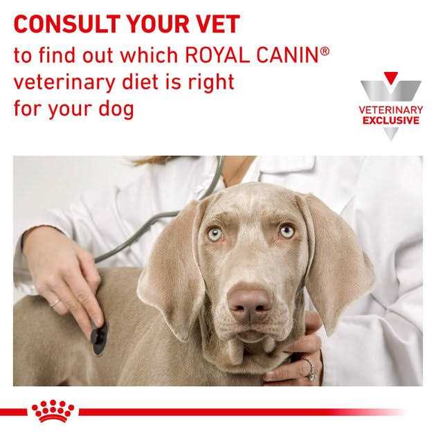 Calm Dry Dog Food M88646