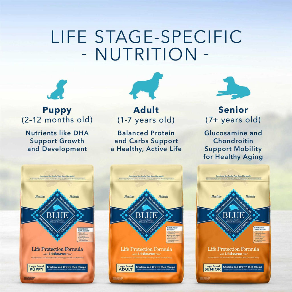 Fish & Brown Rice Adult Dry Dog Food H91321