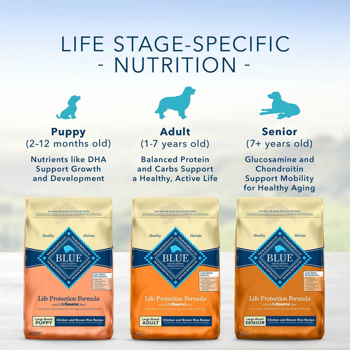 Fish & Brown Rice Adult Dry Dog Food H91321
