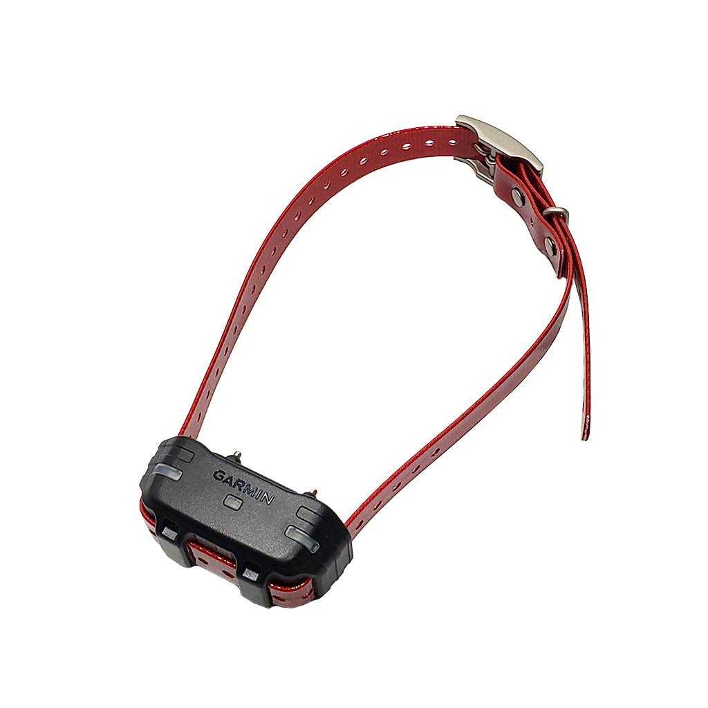 Dog Device Collar R5740