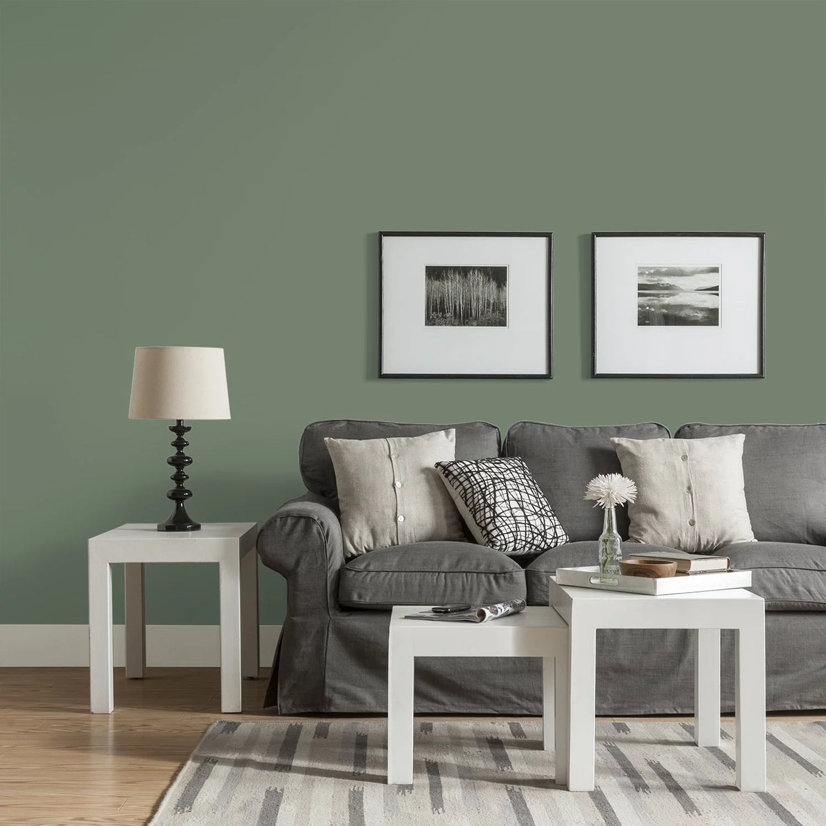 Green Eggshell Interior Paint 1 Gallon H1218