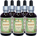 Organic Dried Leaves Alcohol-Free Liquid Extract 5x2 fl.oz F619579