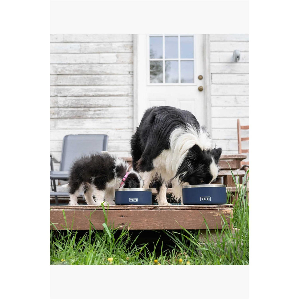 Dog Bowl V229179