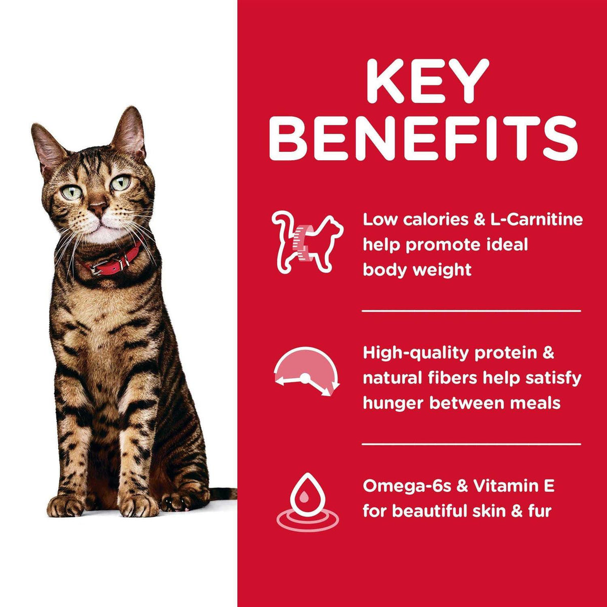 Adult Light Dry Cat Food B5001