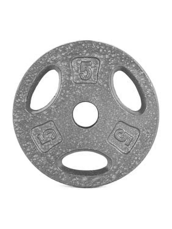 10 lb Standard 1-inch Grip Weight Plate B213