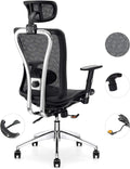 Black Mesh Ergonomic Office Chair with Lumbar Support and Headrest I561