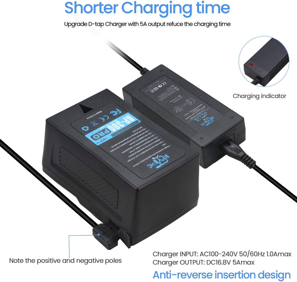 300Wh V Mount Battery with D-Tap Charger and Cable E491368