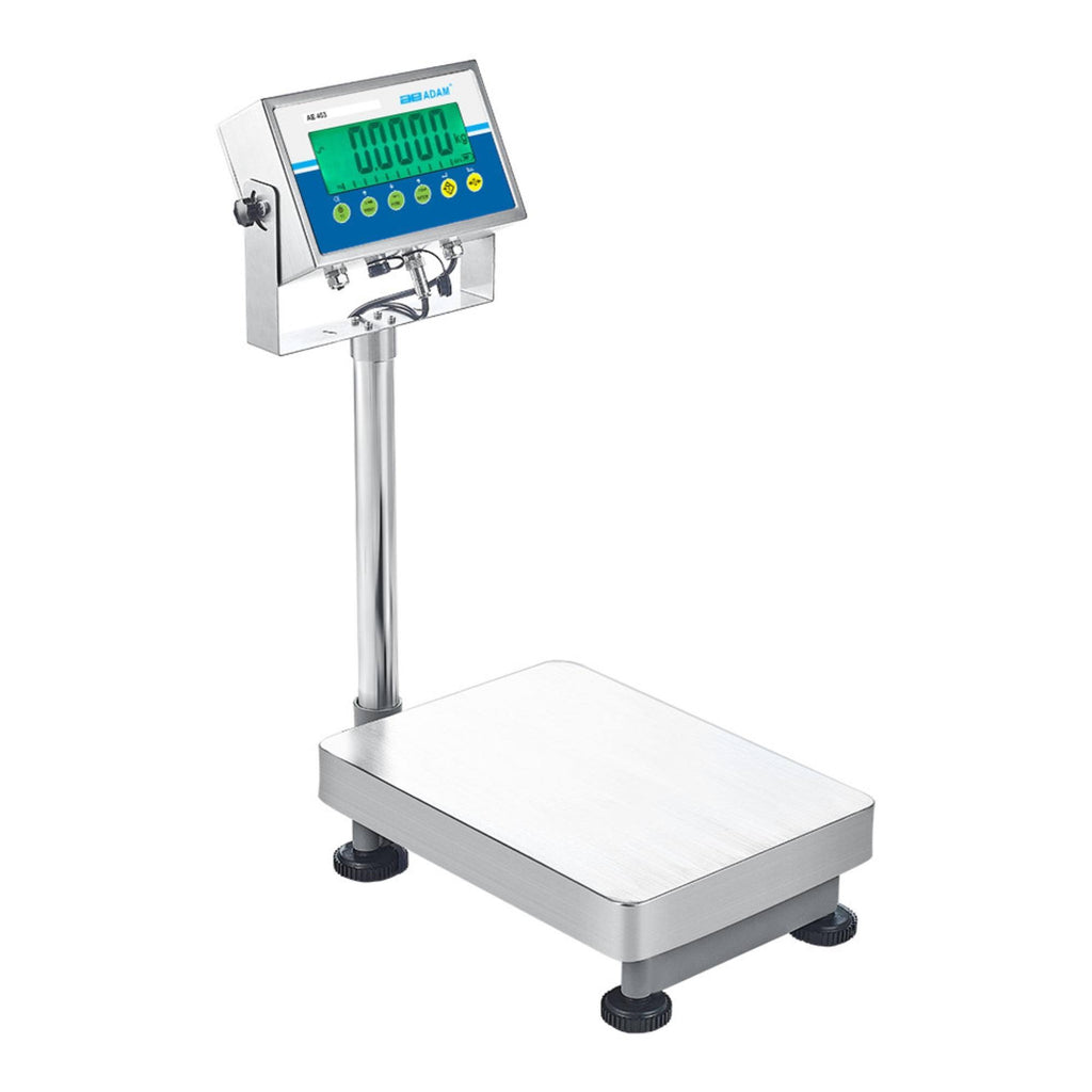 35 lb Capacity Bench and Floor Scale H836775