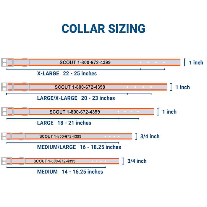 Adjustable Personalized Dog Collar N570