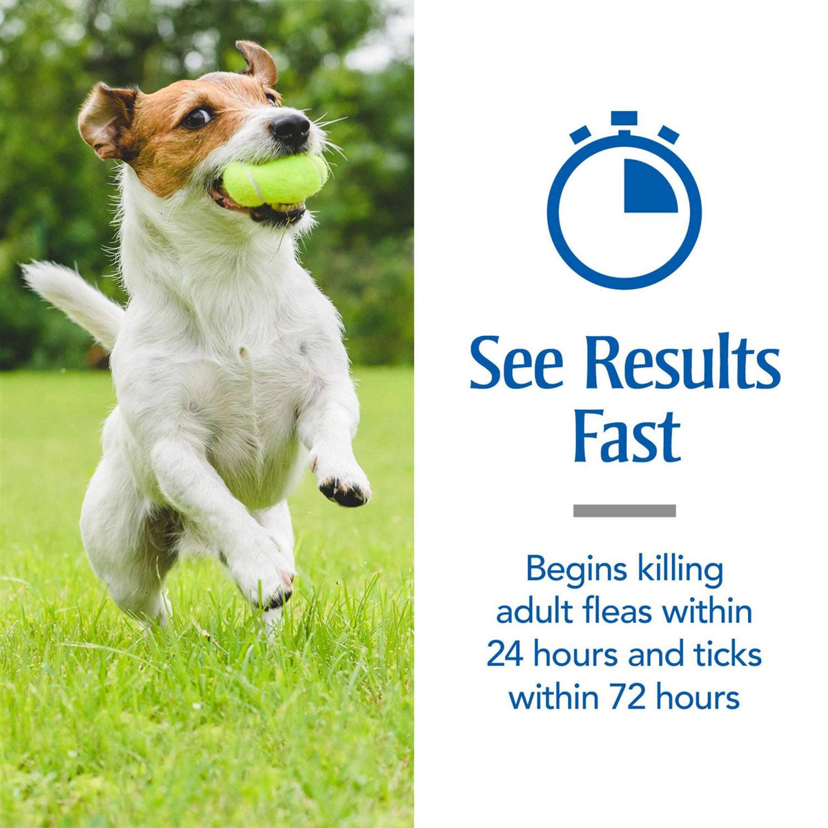 Flea and Tick Treatment for Medium Dogs A737