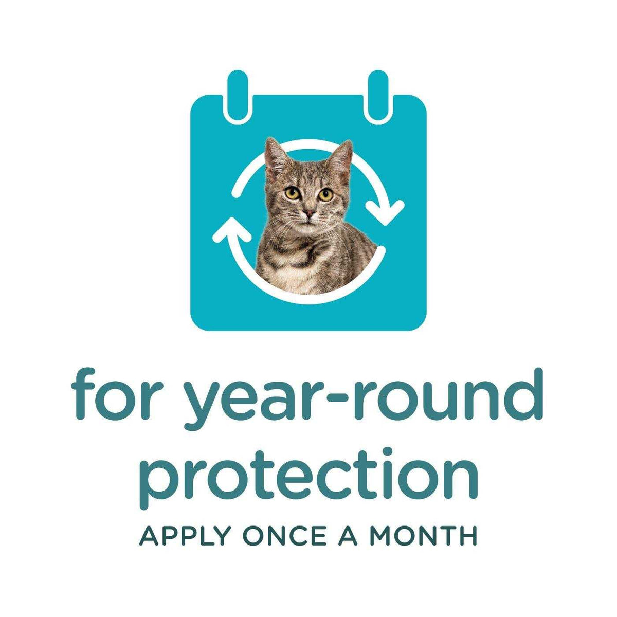 Flea and Tick Topical for Cats U5781