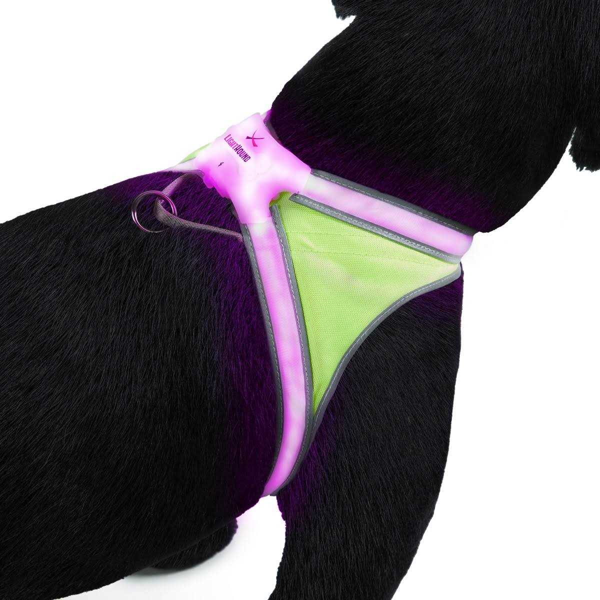 LED Reflective Dog Harness A717831