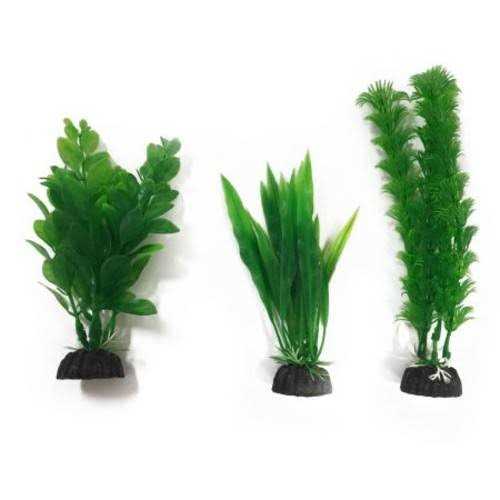 Aquarium Plants 3 Count F448660