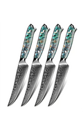 Steak Knife Set Of 4 V31849