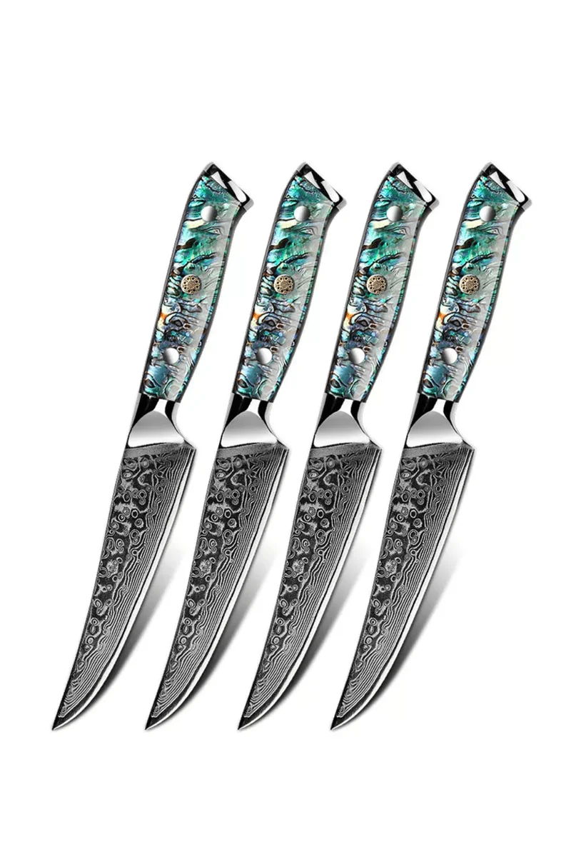 Steak Knife Set Of 4 V31849