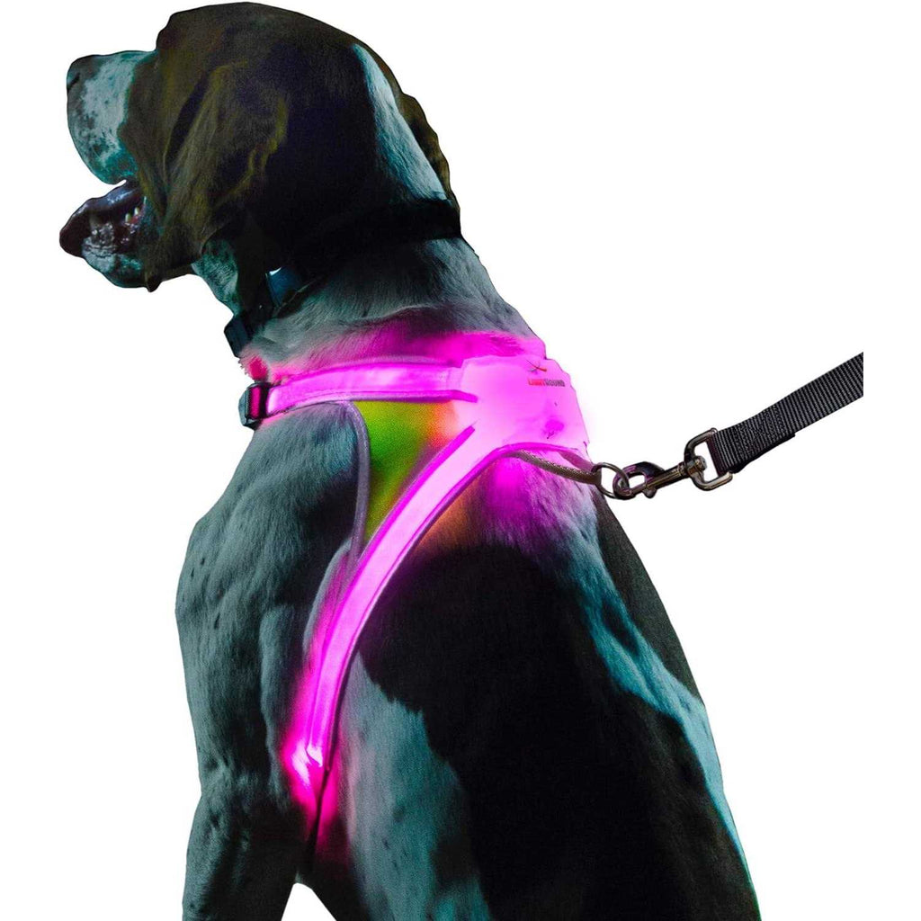 LED Reflective Dog Harness A717831