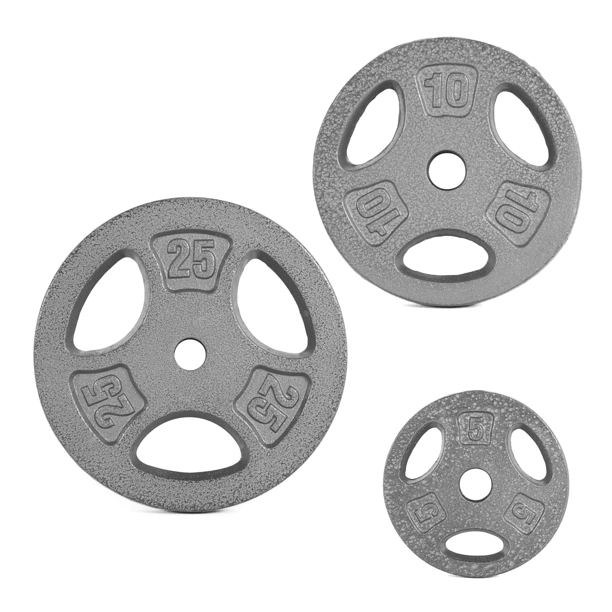 10 lb Standard 1-inch Grip Weight Plate B213