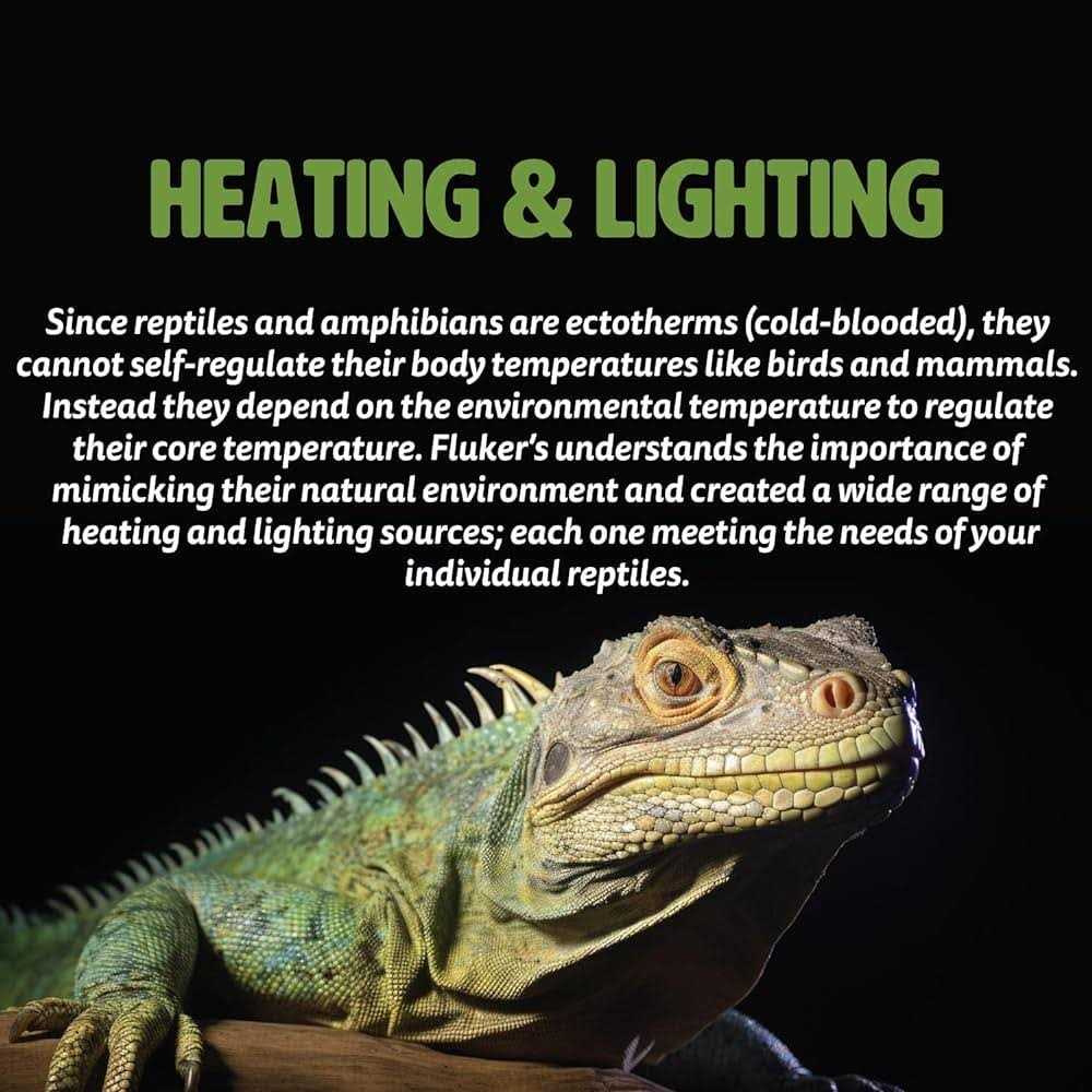 Deep Thermal Heat Lamp for Reptiles U5481