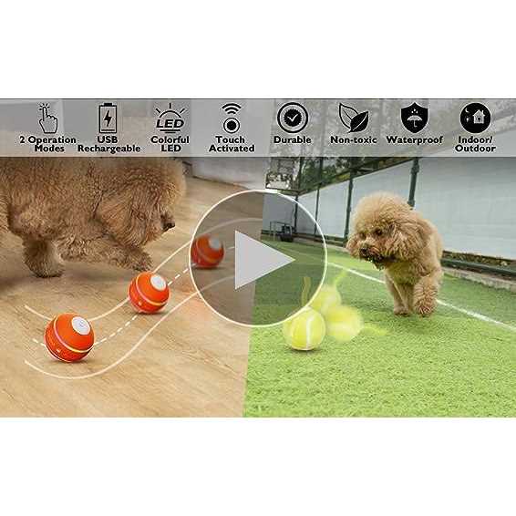 Interactive Dog Ball Toys T379