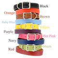 Leather Dog Collar S5093