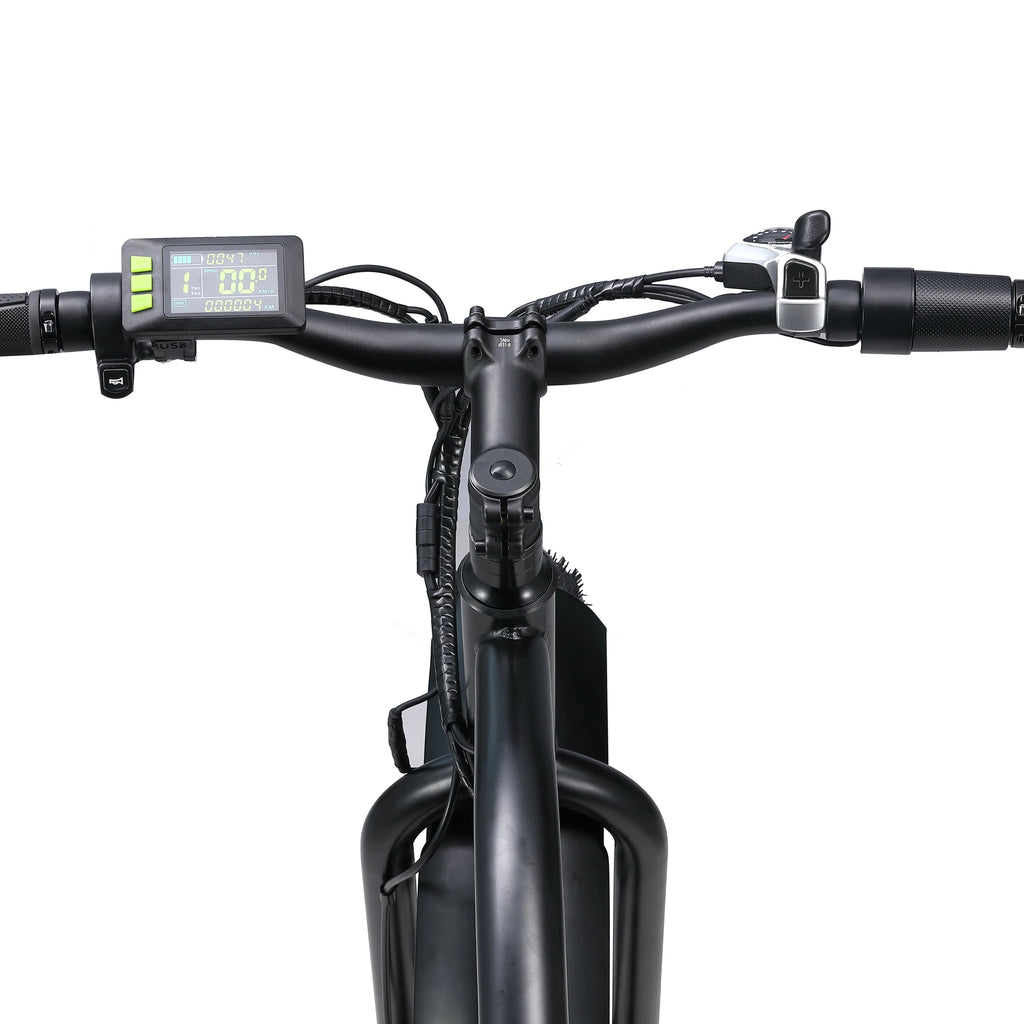 750W Motor 48V 14.5Ah Battery 26'' Fat Tires Electric Bike E3219