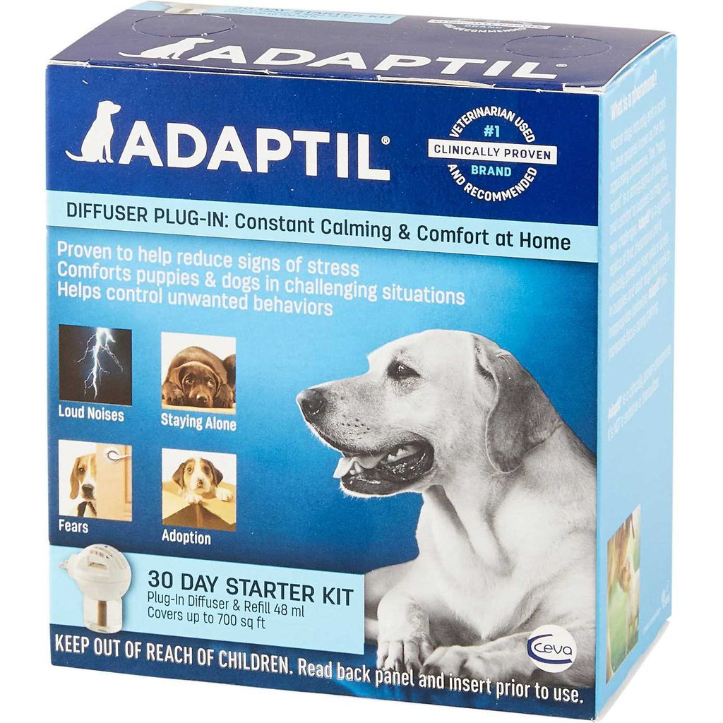 30 Day Starter Kit D308