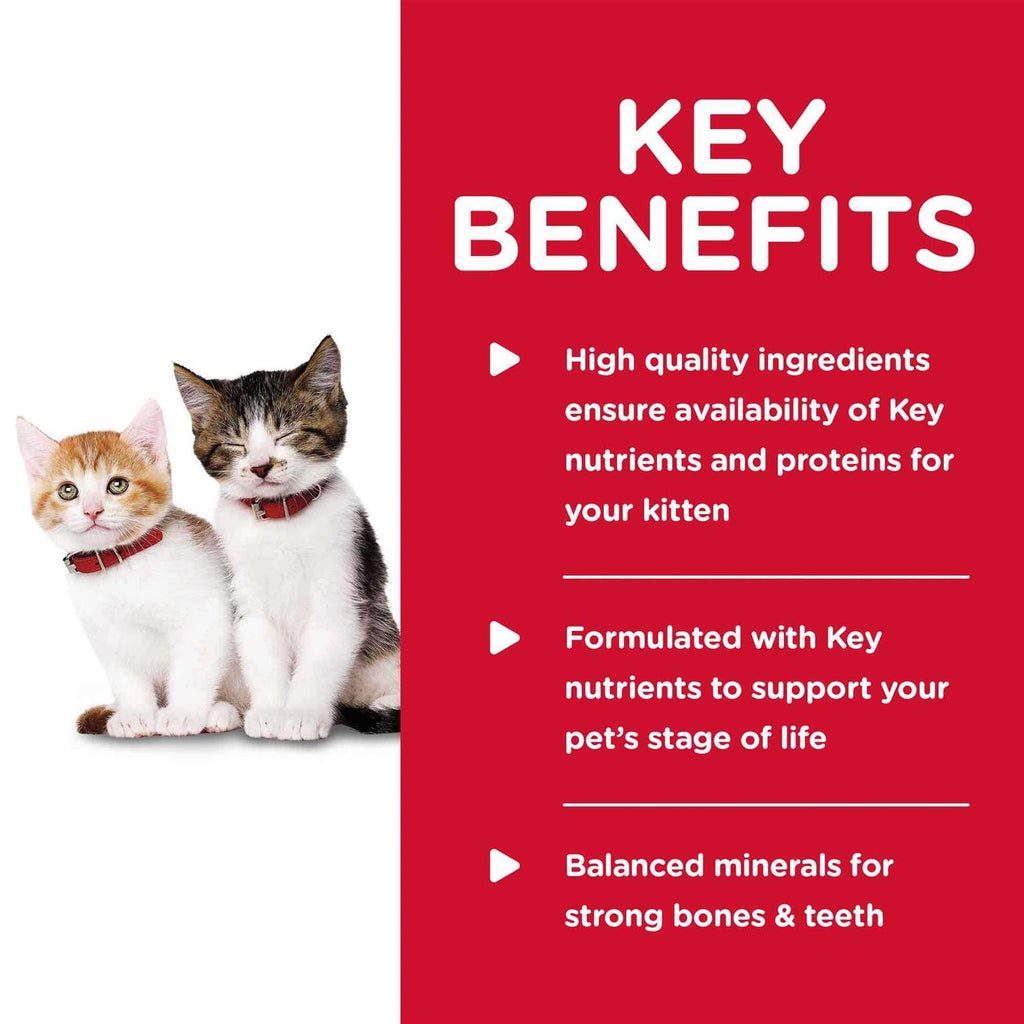 Kitten Wet Cat Food O6998