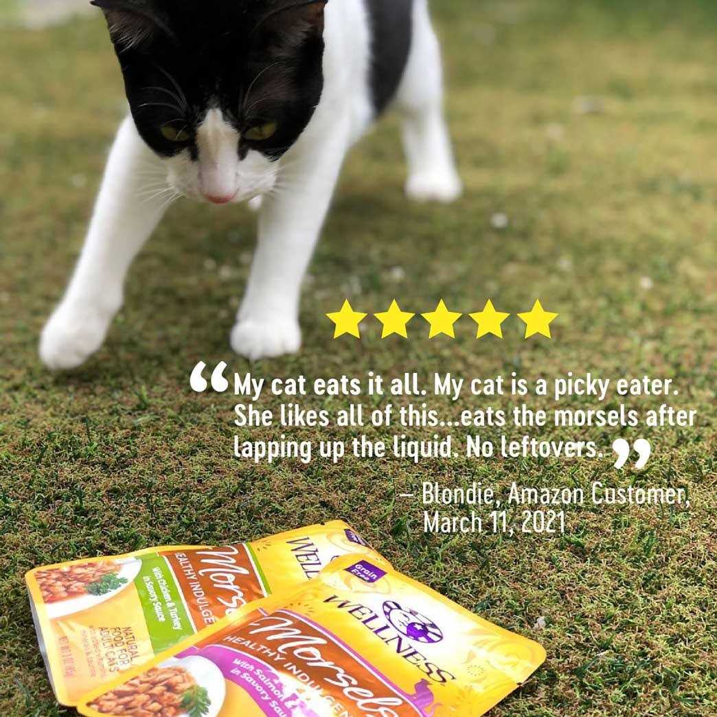Grain Free Wet Cat Food Morsels Variety Pack J13290
