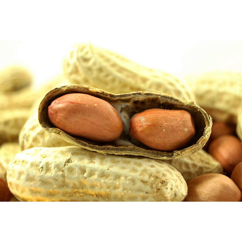 Extra Large Virginia Peanuts G63176