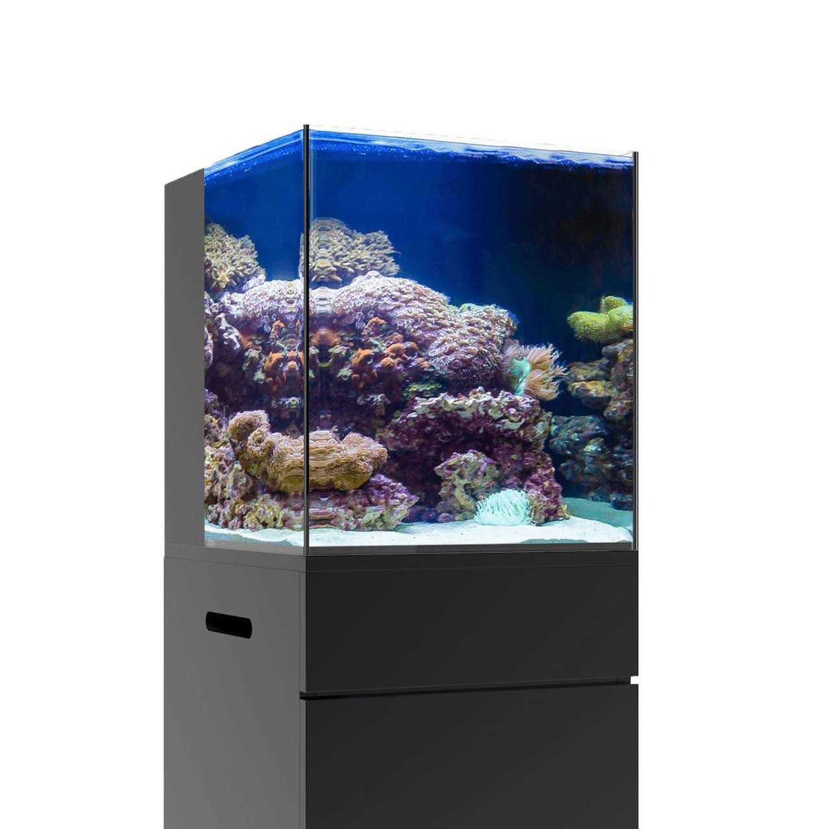 Nano Rimless Aquarium Y1680