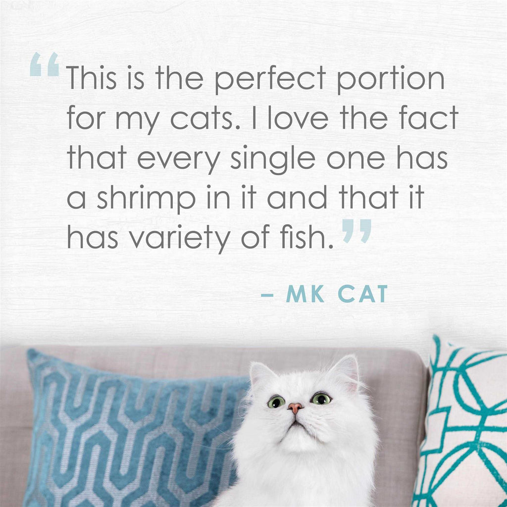 Natural Seabass & Shrimp in Broth Cat Food P153