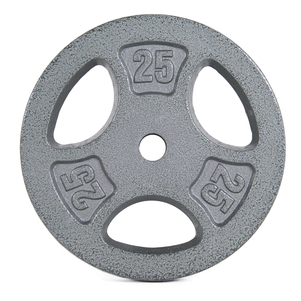 10 lb Standard 1-inch Grip Weight Plate B213