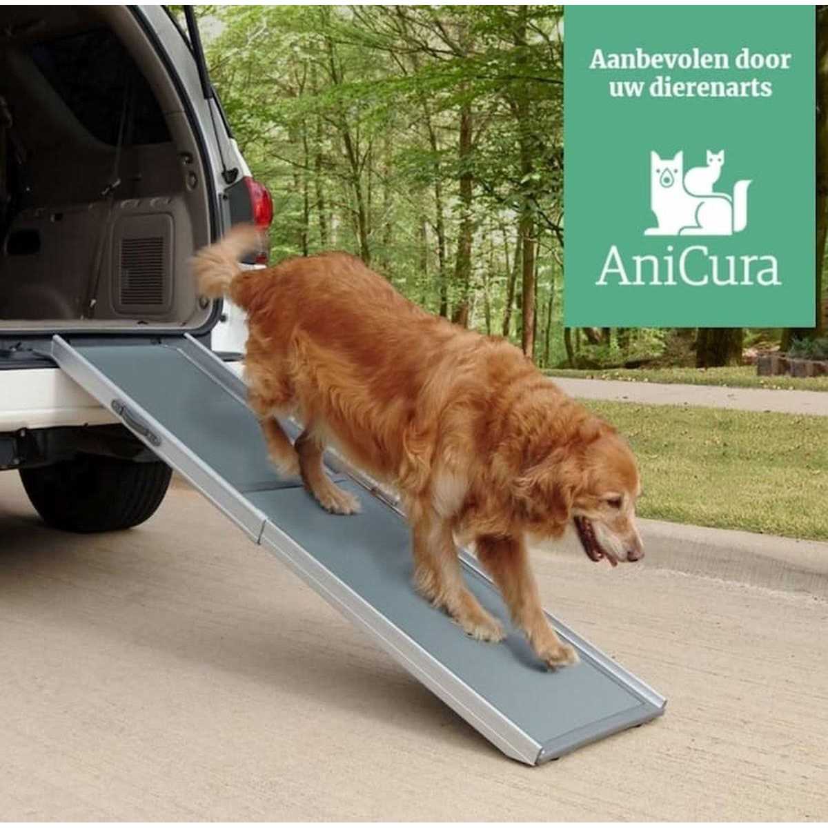 Telescoping Ramp X3699