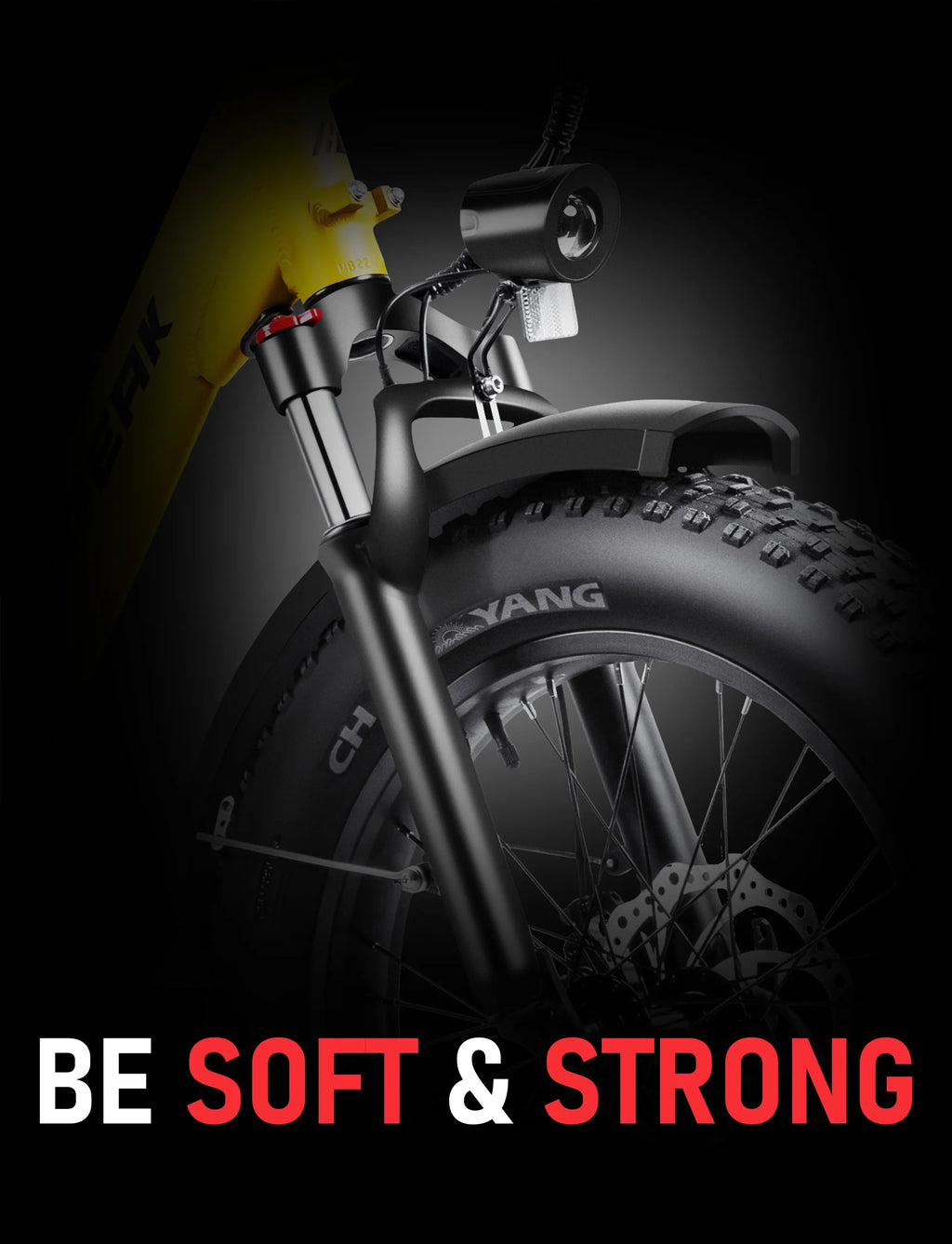 750W Folding Electric Bike 48V 15Ah Fat Tire E39684