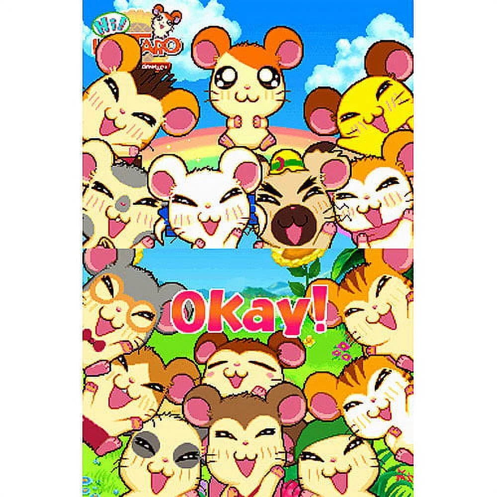 Hamtaro Ham Ham Challenge R74922