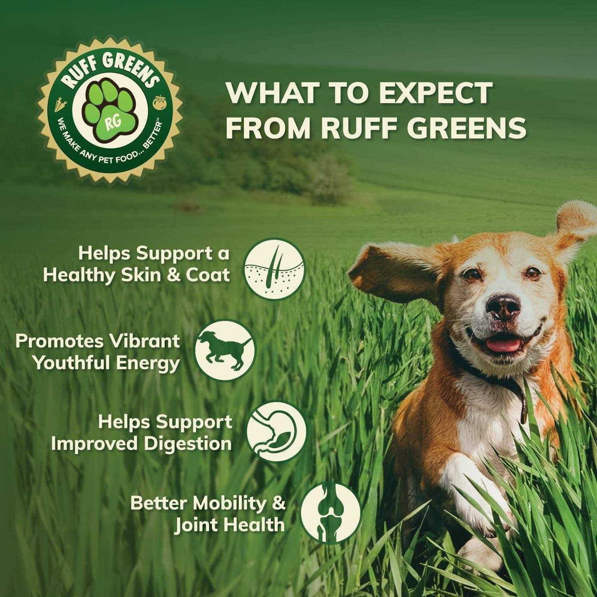 Vitamin & Mineral Supplement Dogs O8287