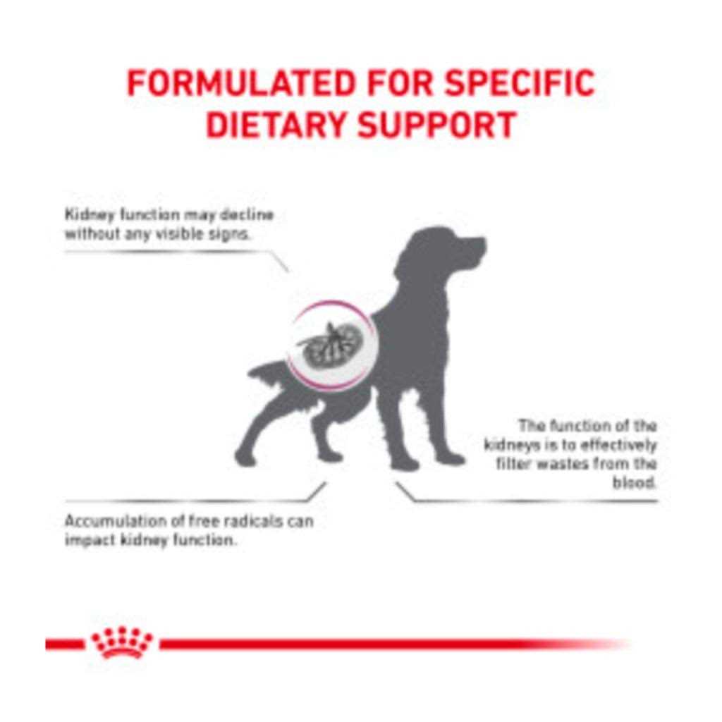 Renal Support Dry Dog Food L5171