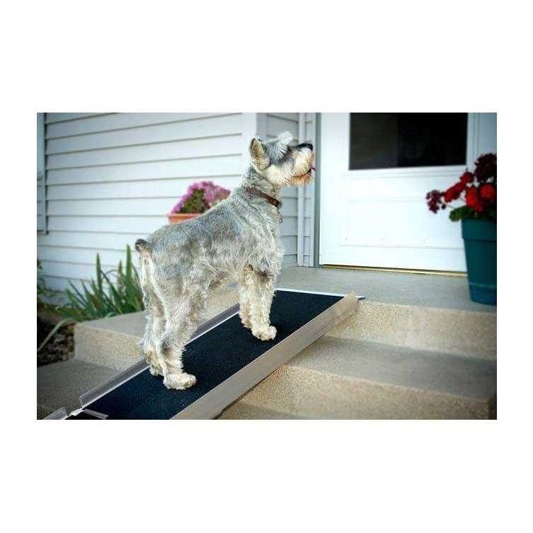 Telescoping Ramp X3699