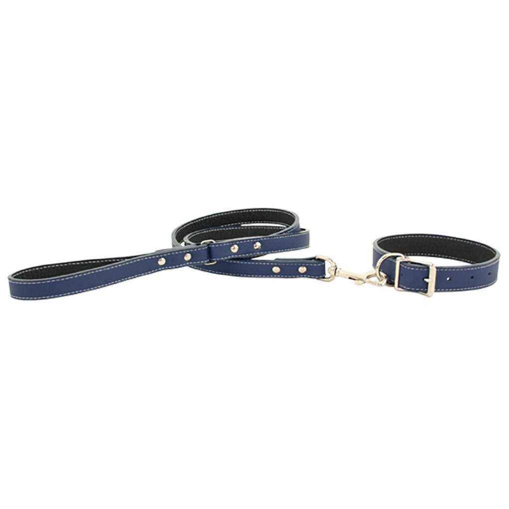 Leather Dog Collar S5093