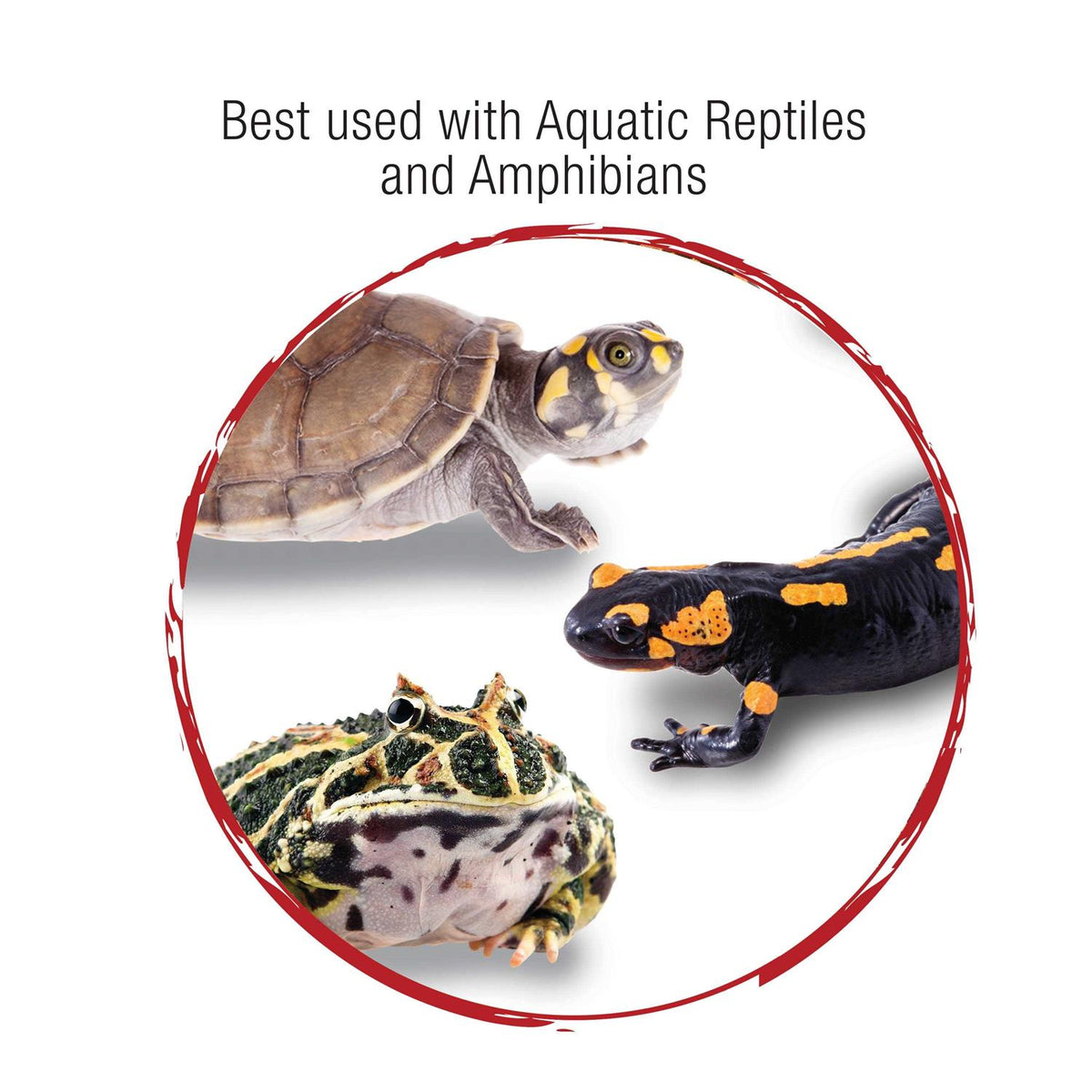 Aquatic Reptile Internal Filter Y540840