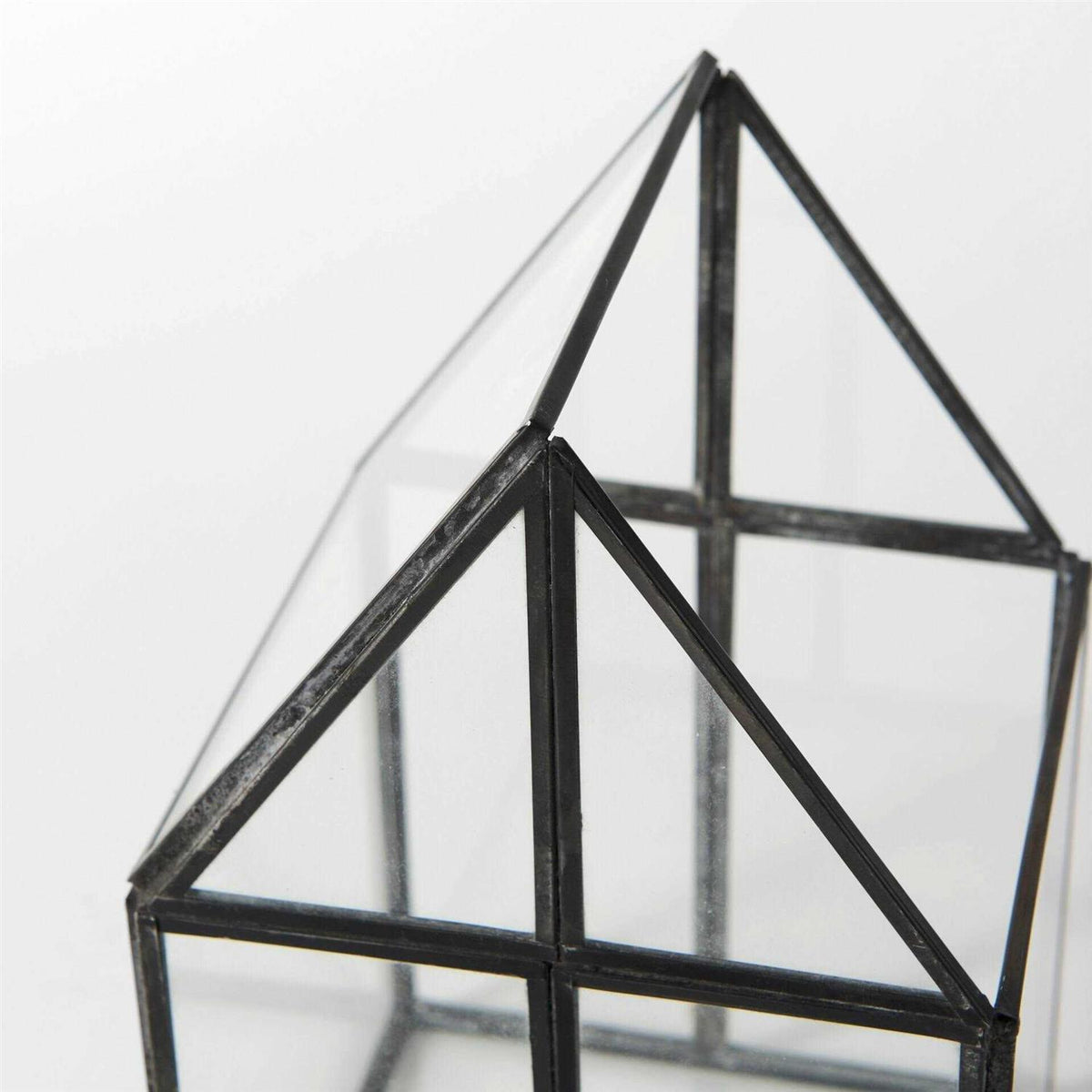 Glass Terrarium W578