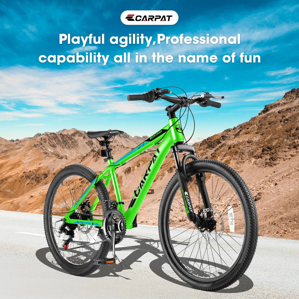 24 inch 21-Speed Mountain Bike with Disc Brake L91505